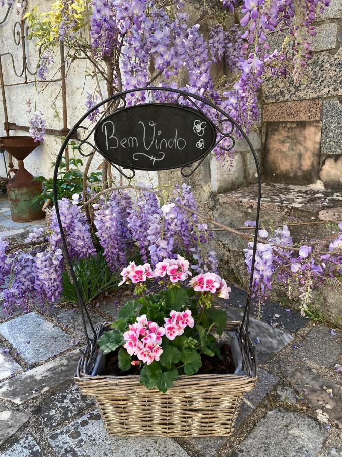 Porturama Bed & Breakfast Mouronho ภายนอก รูปภาพ