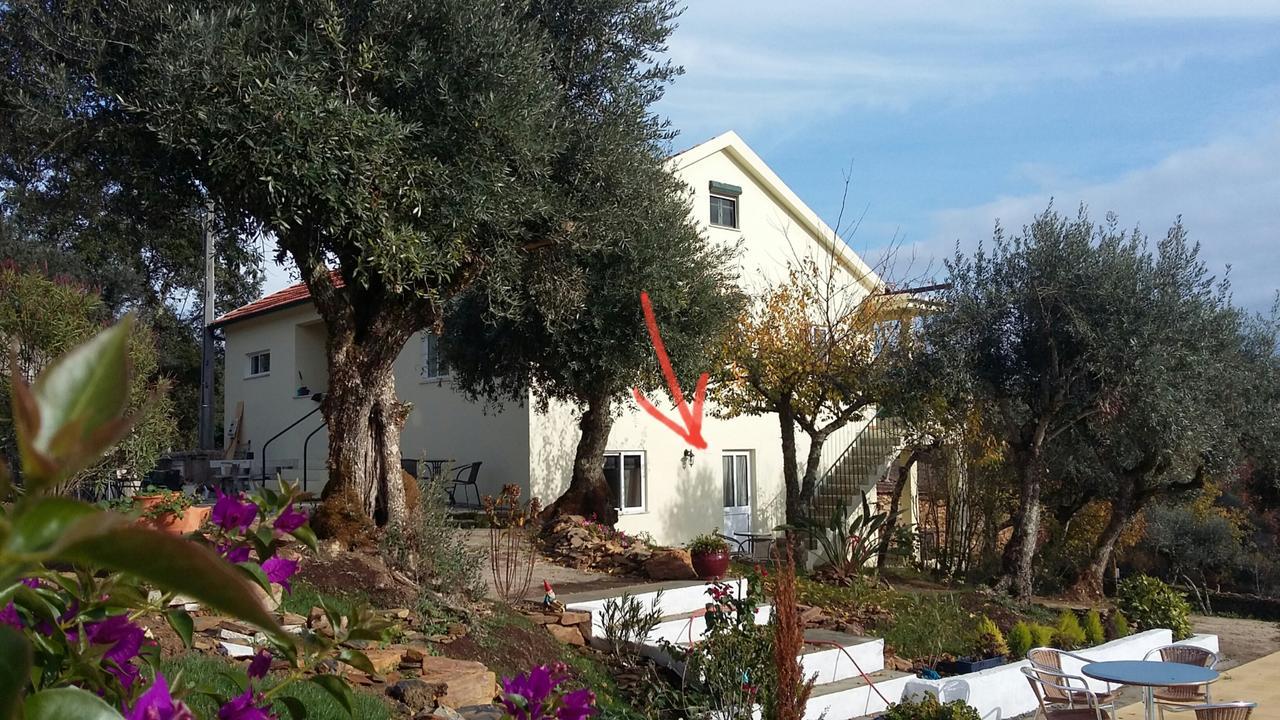 Porturama Bed & Breakfast Mouronho ภายนอก รูปภาพ